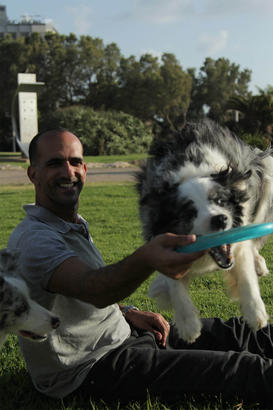 למידת כלבים איכותית חלק ב'